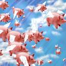 flyingpigs