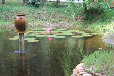 wild wood ponds